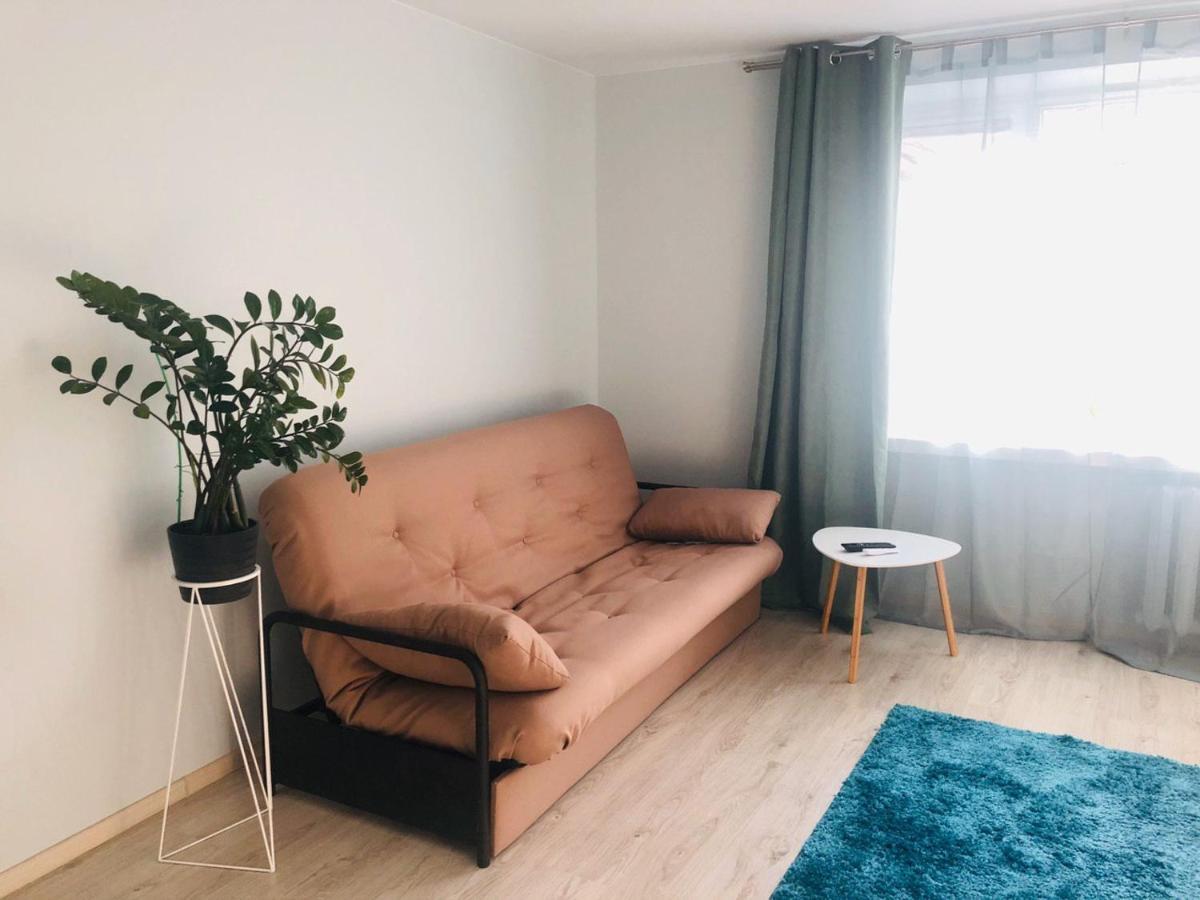 Stylish And Comfortable Apartment In The Center Čerkasy Esterno foto